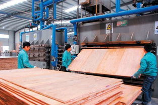 懷化工業(yè)園區(qū)鴻華 電子科技公司工人在進(jìn)行生態(tài)板材的 熱壓工序圖